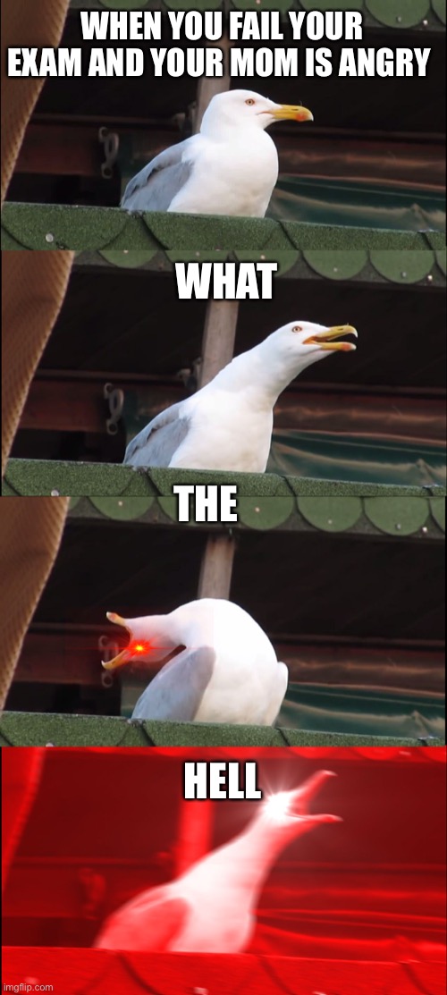 Inhaling Seagull Meme | WHEN YOU FAIL YOUR EXAM AND YOUR MOM IS ANGRY; WHAT; THE; HELL | image tagged in memes,inhaling seagull | made w/ Imgflip meme maker