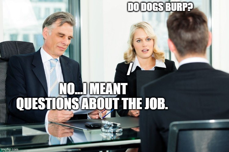 job interview | DO DOGS BURP? /; NO...I MEANT QUESTIONS ABOUT THE JOB. | image tagged in job interview | made w/ Imgflip meme maker