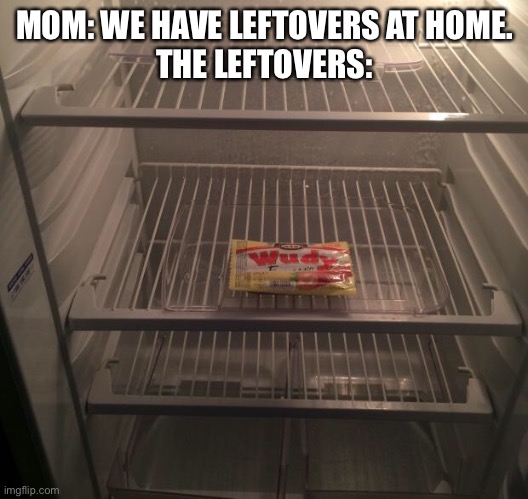 “But we just went food shopping |  MOM: WE HAVE LEFTOVERS AT HOME.
THE LEFTOVERS: | image tagged in empty fridge | made w/ Imgflip meme maker