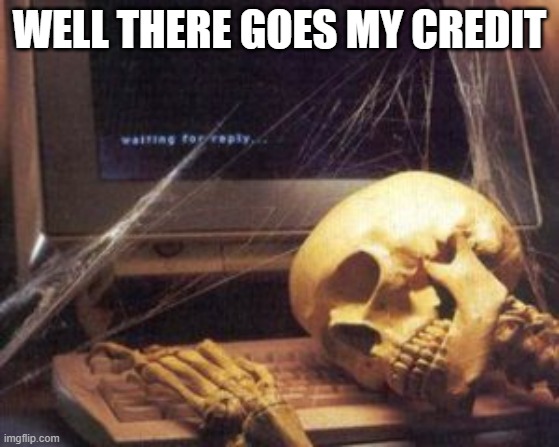 skeleton computer | WELL THERE GOES MY CREDIT | image tagged in skeleton computer | made w/ Imgflip meme maker