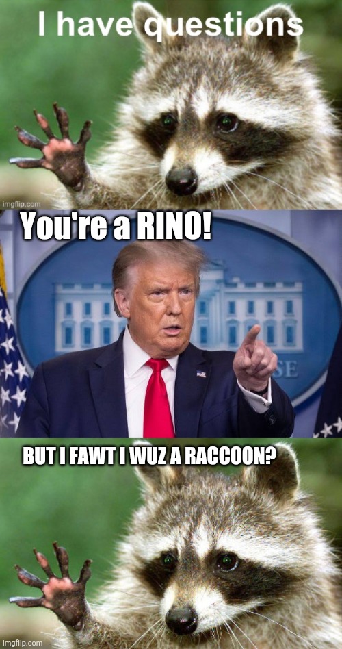 RINO Raccoon | You're a RINO! BUT I FAWT I WUZ A RACCOON? | image tagged in i have questions raccoon | made w/ Imgflip meme maker