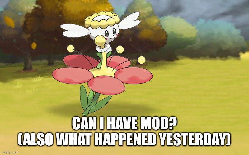 Poke | CAN I HAVE MOD?
(ALSO WHAT HAPPENED YESTERDAY) | image tagged in poke | made w/ Imgflip meme maker