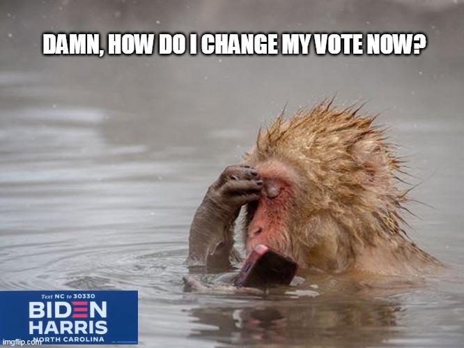 monkey business | DAMN, HOW DO I CHANGE MY VOTE NOW? | image tagged in text messages | made w/ Imgflip meme maker