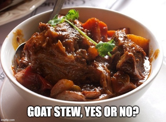 Yummy | GOAT STEW, YES OR NO? | image tagged in yummy | made w/ Imgflip meme maker