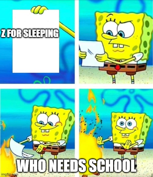 Report card | Z FOR SLEEPING; WHO NEEDS SCHOOL | image tagged in report card | made w/ Imgflip meme maker