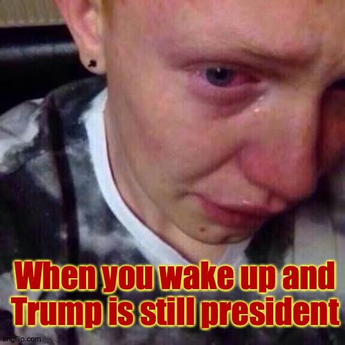 Still? | When you wake up and Trump is still president | image tagged in feel like pure shit,still,loser,trup,biden | made w/ Imgflip meme maker