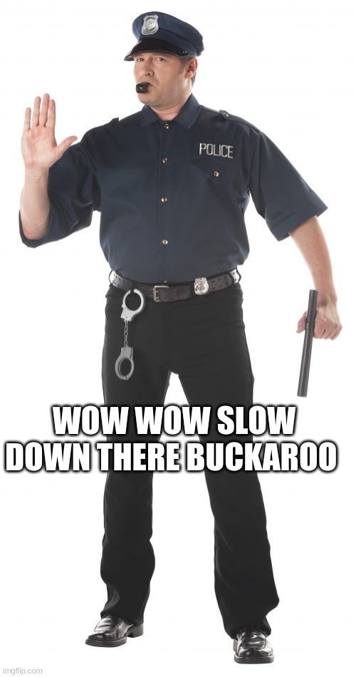 Stop Cop Meme | WOW WOW SLOW DOWN THERE BUCKAROO | image tagged in memes,stop cop | made w/ Imgflip meme maker