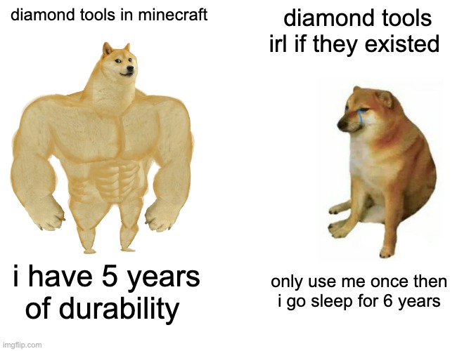 Buff Doge vs. Cheems Meme | diamond tools in minecraft; diamond tools irl if they existed; i have 5 years of durability; only use me once then i go sleep for 6 years | image tagged in memes,buff doge vs cheems | made w/ Imgflip meme maker