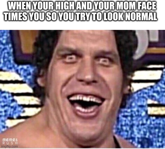 meme | WHEN YOUR HIGH AND YOUR MOM FACE TIMES YOU SO YOU TRY TO LOOK NORMAL | image tagged in memes | made w/ Imgflip meme maker