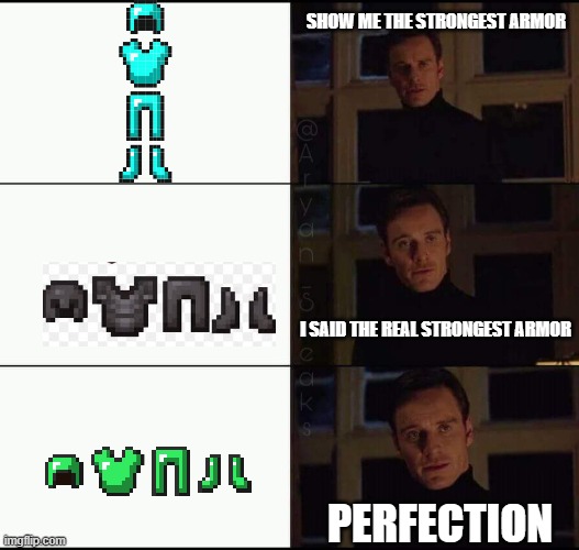 minecraft memes | SHOW ME THE STRONGEST ARMOR; I SAID THE REAL STRONGEST ARMOR; PERFECTION | image tagged in show me the real _____ | made w/ Imgflip meme maker