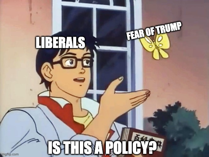 Is this a policy? |  FEAR OF TRUMP; LIBERALS; IS THIS A POLICY? | image tagged in anime butterfly meme,trump,liberals | made w/ Imgflip meme maker