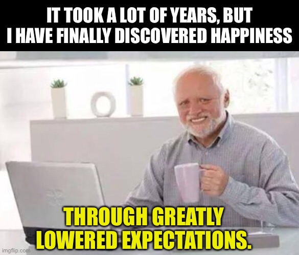 Lowered expectations | IT TOOK A LOT OF YEARS, BUT I HAVE FINALLY DISCOVERED HAPPINESS; THROUGH GREATLY LOWERED EXPECTATIONS. | image tagged in harold | made w/ Imgflip meme maker