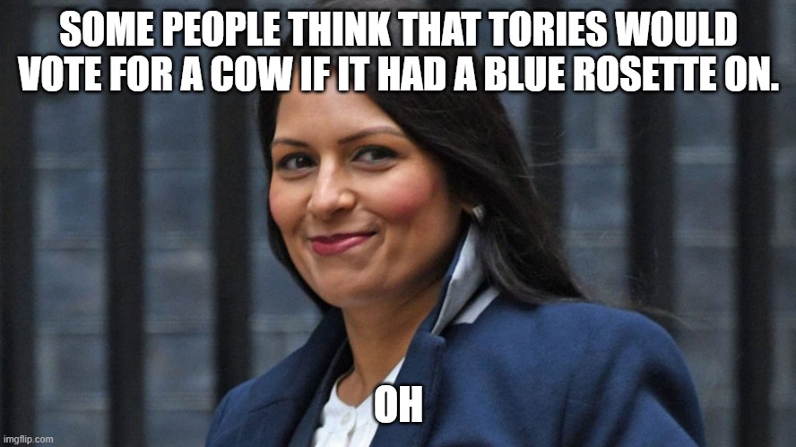 priti stupid | SOME PEOPLE THINK THAT TORIES WOULD VOTE FOR A COW IF IT HAD A BLUE ROSETTE ON. OH | image tagged in priti stupid | made w/ Imgflip meme maker