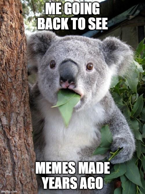 OMG THEY ARE REALLY GOOD | ME GOING BACK TO SEE; MEMES MADE YEARS AGO | image tagged in memes,surprised koala | made w/ Imgflip meme maker