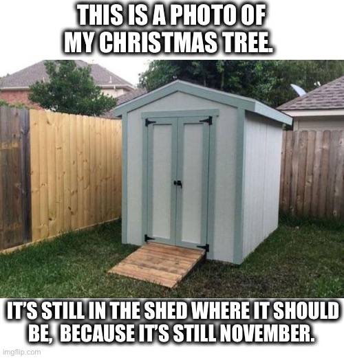 Some people had trees up at Halloween |  THIS IS A PHOTO OF
MY CHRISTMAS TREE. IT’S STILL IN THE SHED WHERE IT SHOULD
BE,  BECAUSE IT’S STILL NOVEMBER. | image tagged in shed,christmas,tree,november,too early,memes | made w/ Imgflip meme maker
