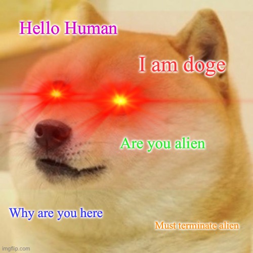Doge | Hello Human; I am doge; Are you alien; Why are you here; Must terminate alien | image tagged in memes,funny | made w/ Imgflip meme maker