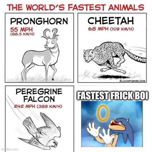 The world's fastest animals | FASTEST FRICK BOI | image tagged in the world's fastest animals | made w/ Imgflip meme maker