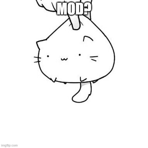 mod? | MOD? | image tagged in cat | made w/ Imgflip meme maker
