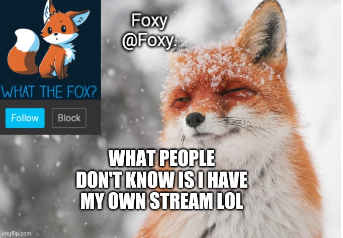 Foxy's announcement template | WHAT PEOPLE DON'T KNOW IS I HAVE MY OWN STREAM LOL | image tagged in foxy's announcement template | made w/ Imgflip meme maker