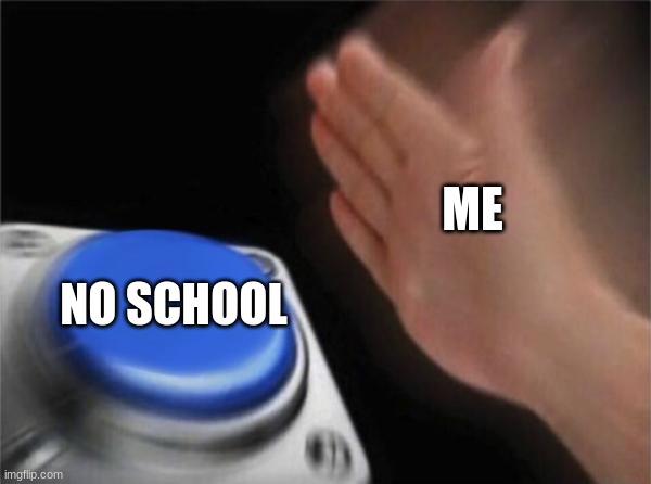 NO SCHOOL | ME; NO SCHOOL | image tagged in memes,blank nut button | made w/ Imgflip meme maker