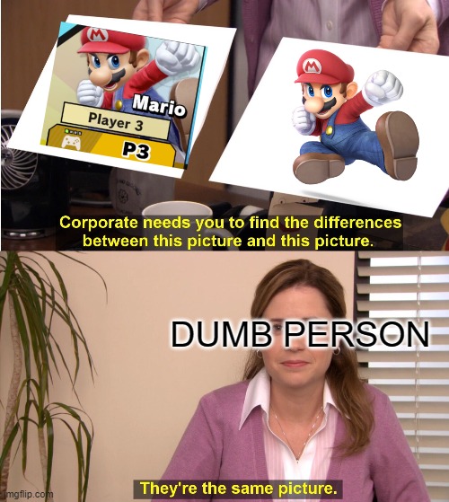 The Difference | DUMB PERSON | image tagged in memes,they're the same picture | made w/ Imgflip meme maker