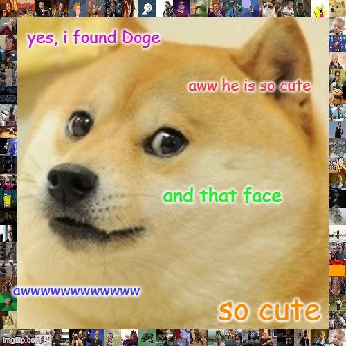 Doge Meme | yes, i found Doge aww he is so cute and that face awwwwwwwwwwww so cute | image tagged in memes,doge | made w/ Imgflip meme maker