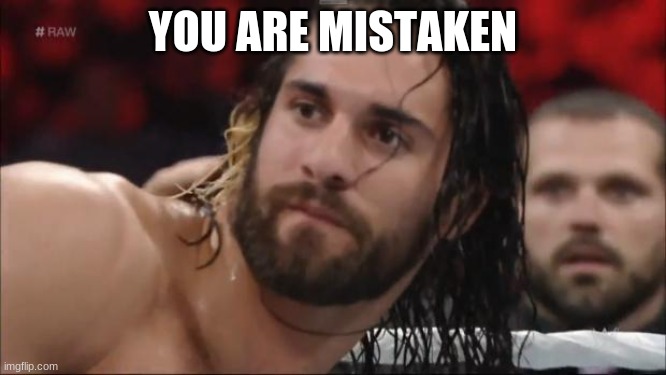 Seth Rollins | YOU ARE MISTAKEN | image tagged in seth rollins | made w/ Imgflip meme maker