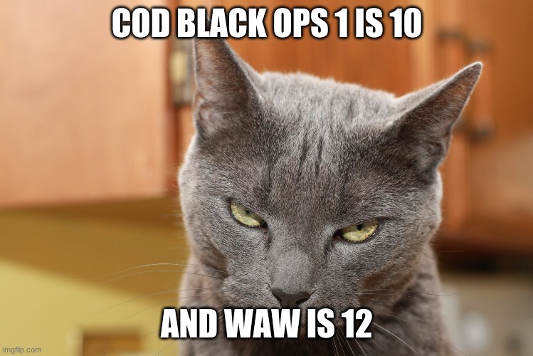 Try Me | COD BLACK OPS 1 IS 10 AND WAW IS 12 | image tagged in try me | made w/ Imgflip meme maker