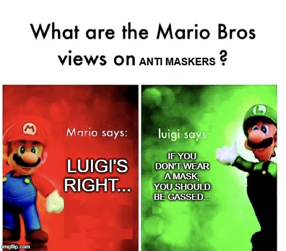 Do it for the people... | ANTI MASKERS; IF YOU DON'T WEAR A MASK, YOU SHOULD BE GASSED... LUIGI'S RIGHT... | image tagged in mario v luigi | made w/ Imgflip meme maker