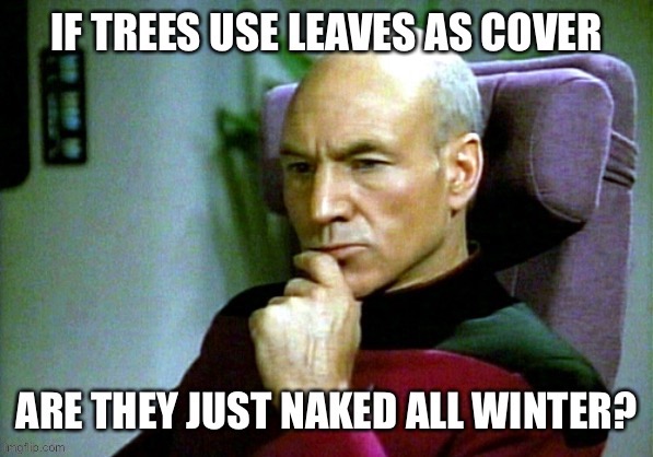image tagged in star trek,picard,question,deep thought,tree,funny | made w/ Imgflip meme maker