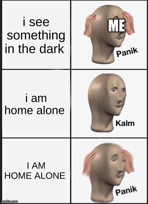 old | ME; i see something in the dark; i am home alone; I AM HOME ALONE | image tagged in memes,panik kalm panik | made w/ Imgflip meme maker