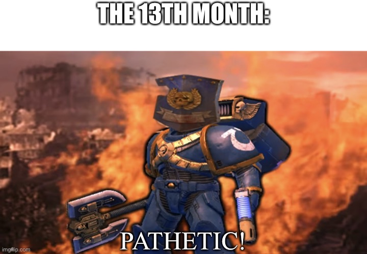 Shield Marine | THE 13TH MONTH: PATHETIC! | image tagged in shield marine | made w/ Imgflip meme maker