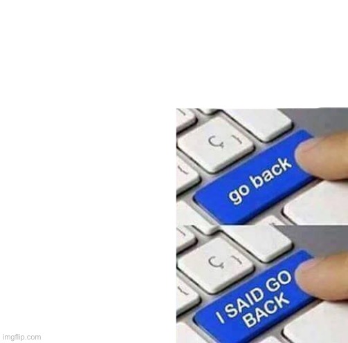 I SAID GO BACK | image tagged in i said go back | made w/ Imgflip meme maker