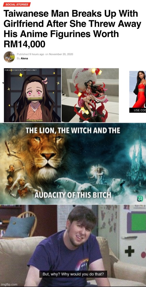 SAY IT LOUD AND CLEAR! THIS WOMAN DESERVES NO LIFE! | image tagged in the lion the witch and the audacity of this bitch,but why why would you do that,goodanimemes | made w/ Imgflip meme maker