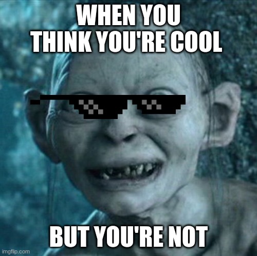 Gollum Meme | WHEN YOU THINK YOU'RE COOL; BUT YOU'RE NOT | image tagged in memes,gollum | made w/ Imgflip meme maker