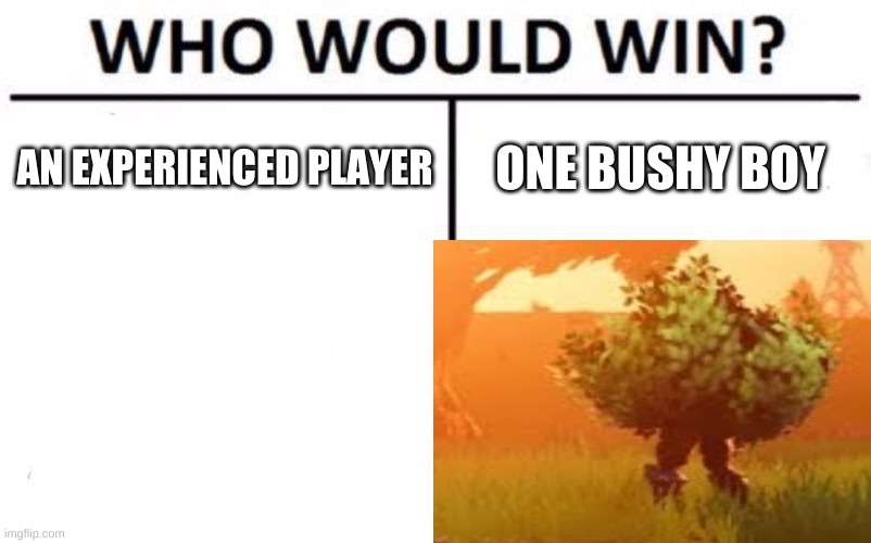AN EXPERIENCED PLAYER; ONE BUSHY BOY | image tagged in online gaming | made w/ Imgflip meme maker