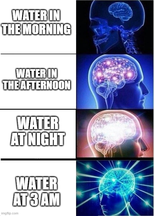 Expanding Brain Meme | WATER IN THE MORNING; WATER IN THE AFTERNOON; WATER AT NIGHT; WATER AT 3 AM | image tagged in memes,expanding brain | made w/ Imgflip meme maker