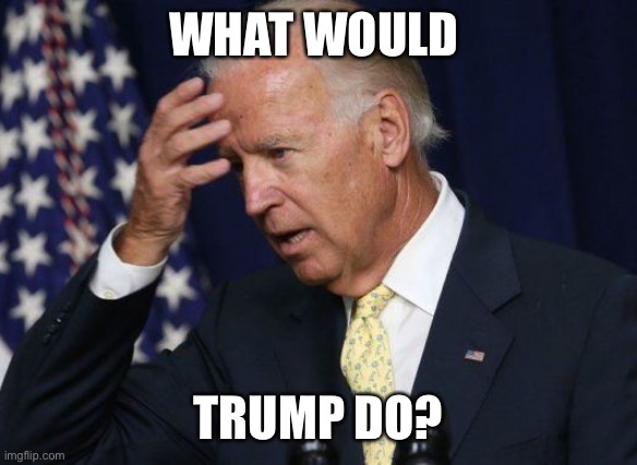 Dummy Joe | WHAT WOULD; TRUMP DO? | image tagged in dummy joe | made w/ Imgflip meme maker