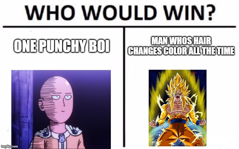 Who Would Win? | ONE PUNCHY BOI; MAN WHOS HAIR CHANGES COLOR ALL THE TIME | image tagged in memes,who would win | made w/ Imgflip meme maker