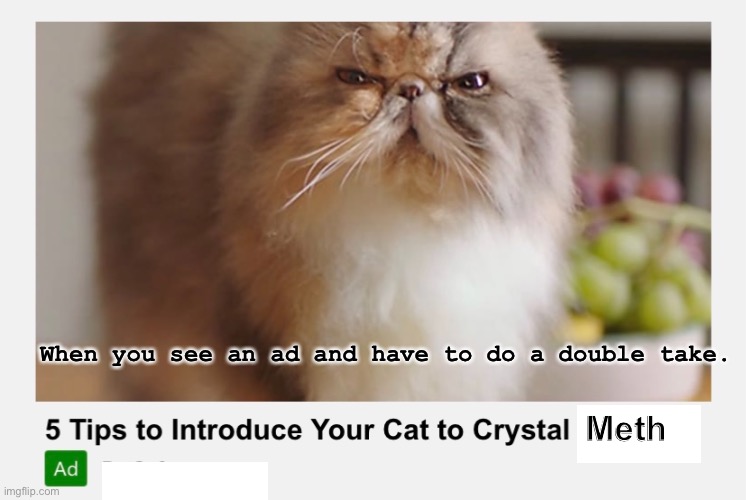 When you see an ad and have to do a double take. Meth | image tagged in cat | made w/ Imgflip meme maker