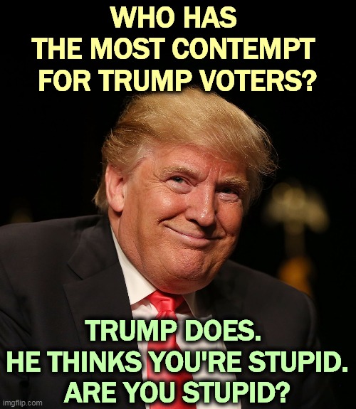 Trump has said in front of witnesses he thinks his voters are stupid people. | WHO HAS 
THE MOST CONTEMPT 
FOR TRUMP VOTERS? TRUMP DOES. 
HE THINKS YOU'RE STUPID.
ARE YOU STUPID? | image tagged in trump,hates,trump supporters,disrespect | made w/ Imgflip meme maker