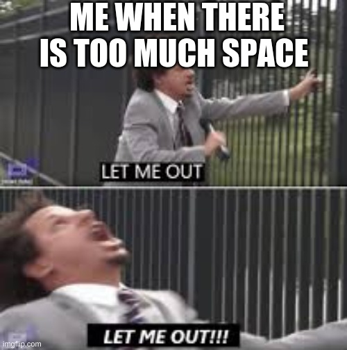 let me out | ME WHEN THERE IS TOO MUCH SPACE | image tagged in let me out | made w/ Imgflip meme maker