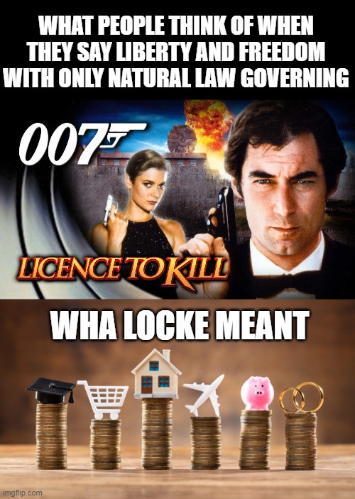 WHAT PEOPLE THINK OF WHEN THEY SAY LIBERTY AND FREEDOM WITH ONLY NATURAL LAW GOVERNING; WHA LOCKE MEANT | image tagged in locke | made w/ Imgflip meme maker