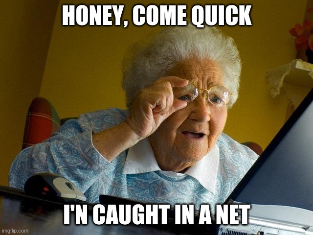 Grandma Finds The Internet Meme | HONEY, COME QUICK; I'N CAUGHT IN A NET | image tagged in memes,grandma finds the internet | made w/ Imgflip meme maker