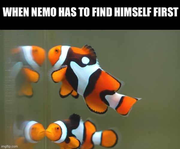 The prequel to finding Nemo | WHEN NEMO HAS TO FIND HIMSELF FIRST | image tagged in finding nemo,funny,memes,philosophy | made w/ Imgflip meme maker
