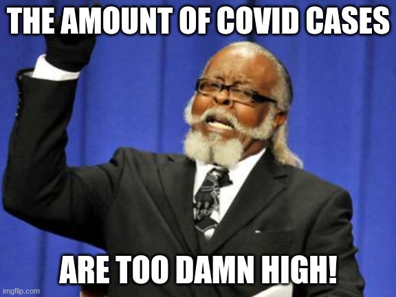 too many | THE AMOUNT OF COVID CASES; ARE TOO DAMN HIGH! | image tagged in memes,too damn high | made w/ Imgflip meme maker
