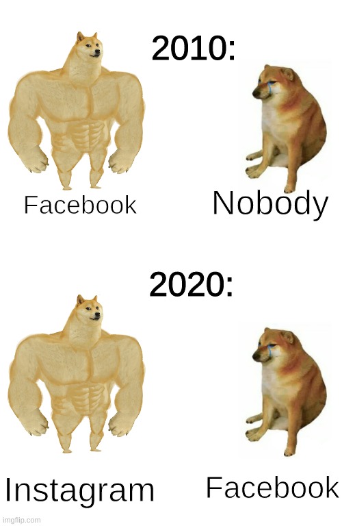 2010:; Nobody; Facebook; 2020:; Facebook; Instagram | image tagged in memes,buff doge vs cheems | made w/ Imgflip meme maker
