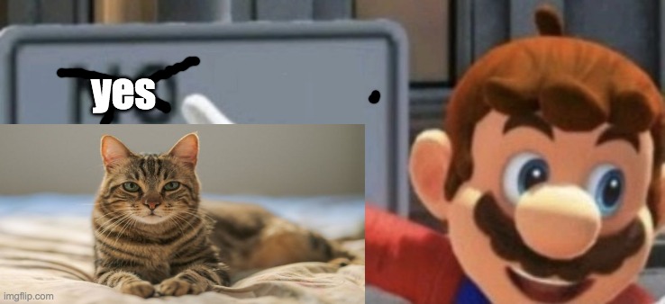 mario yes sign | yes | image tagged in yes,cats,lol | made w/ Imgflip meme maker