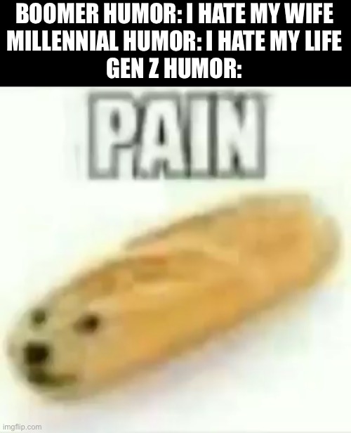 Pain | BOOMER HUMOR: I HATE MY WIFE
MILLENNIAL HUMOR: I HATE MY LIFE
GEN Z HUMOR: | image tagged in pain,memes,funny,gen z | made w/ Imgflip meme maker