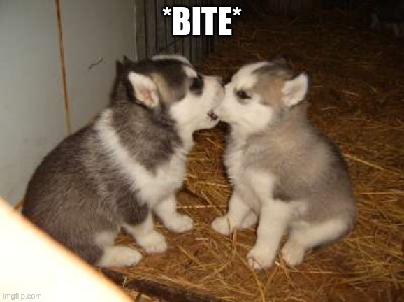 Cute Puppies Meme | *BITE* | image tagged in memes,cute puppies | made w/ Imgflip meme maker